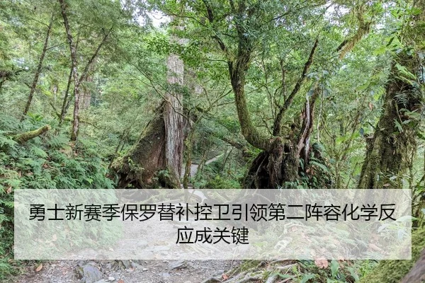 yong-shi-xin-sai-ji-bao-luo-ti-bu-kong-wei-yin-ling-di-er-zhen-rong-hua-xue-fan-ying-cheng-guan-jian-2-262.jpg